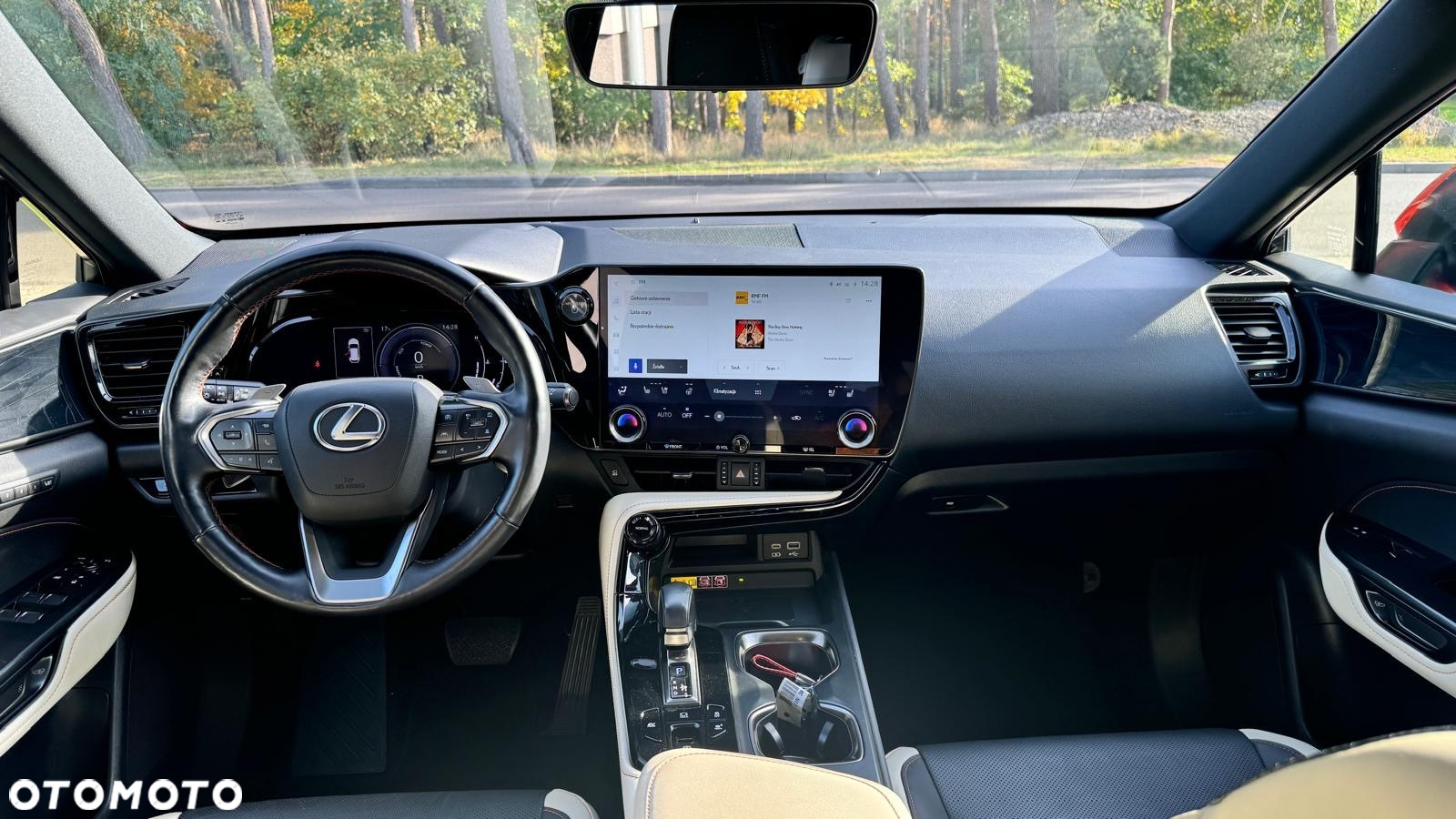 Lexus NX - 15