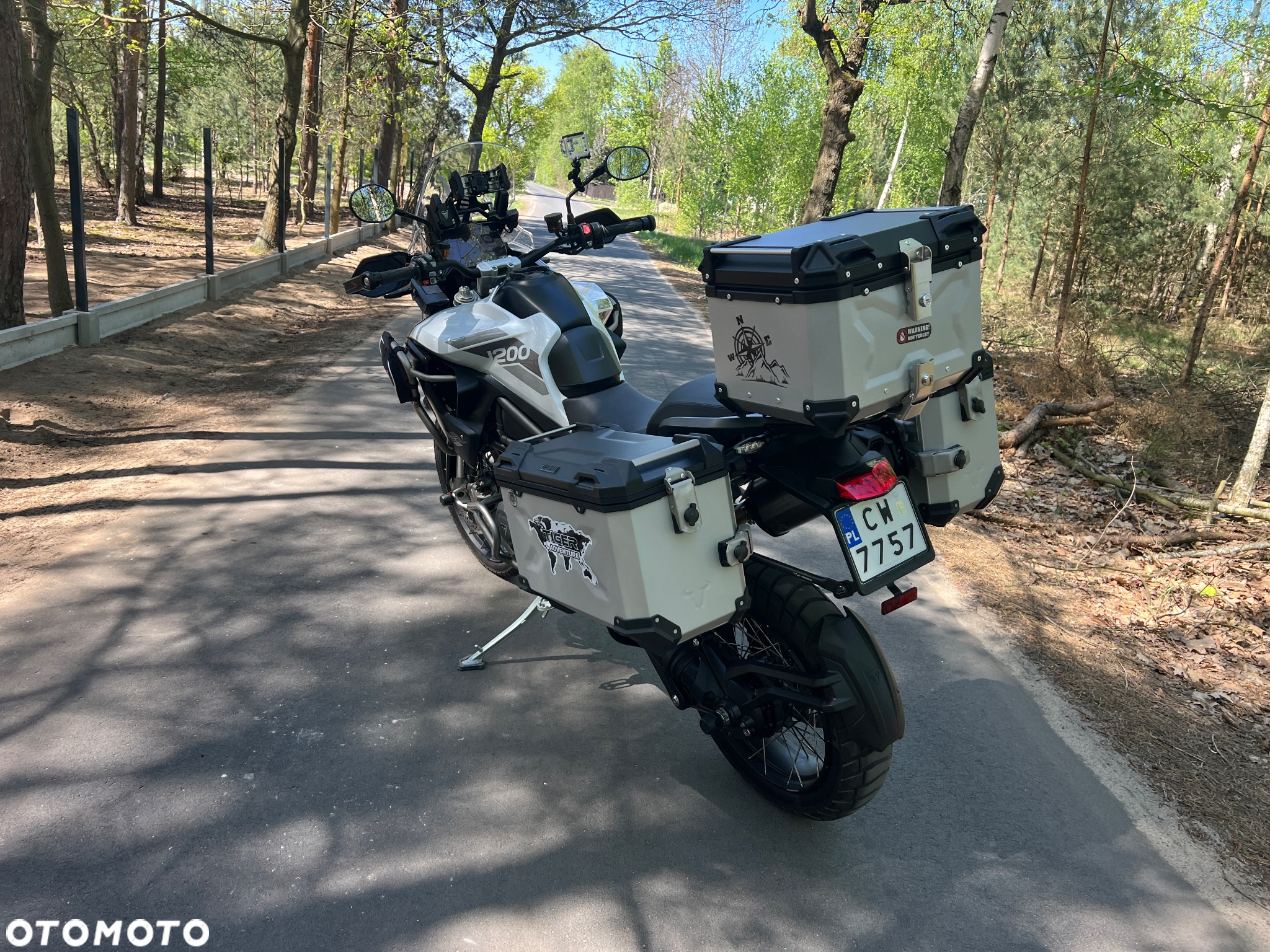 Triumph Tiger - 12