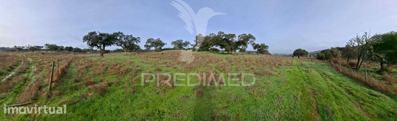 Terreno Rústico com 4,1 Hectares no Rosário - Alandroal - Grande imagem: 2/28