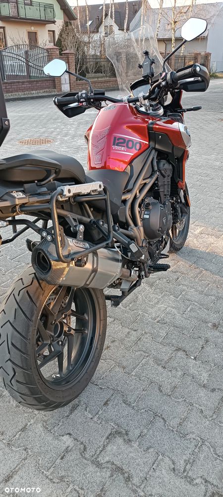Triumph Tiger - 29