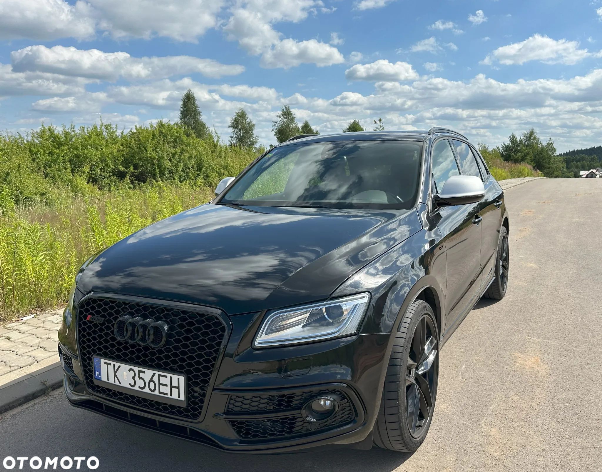 Audi SQ5 3.0 TDI Quattro Tiptronic EU6 - 1