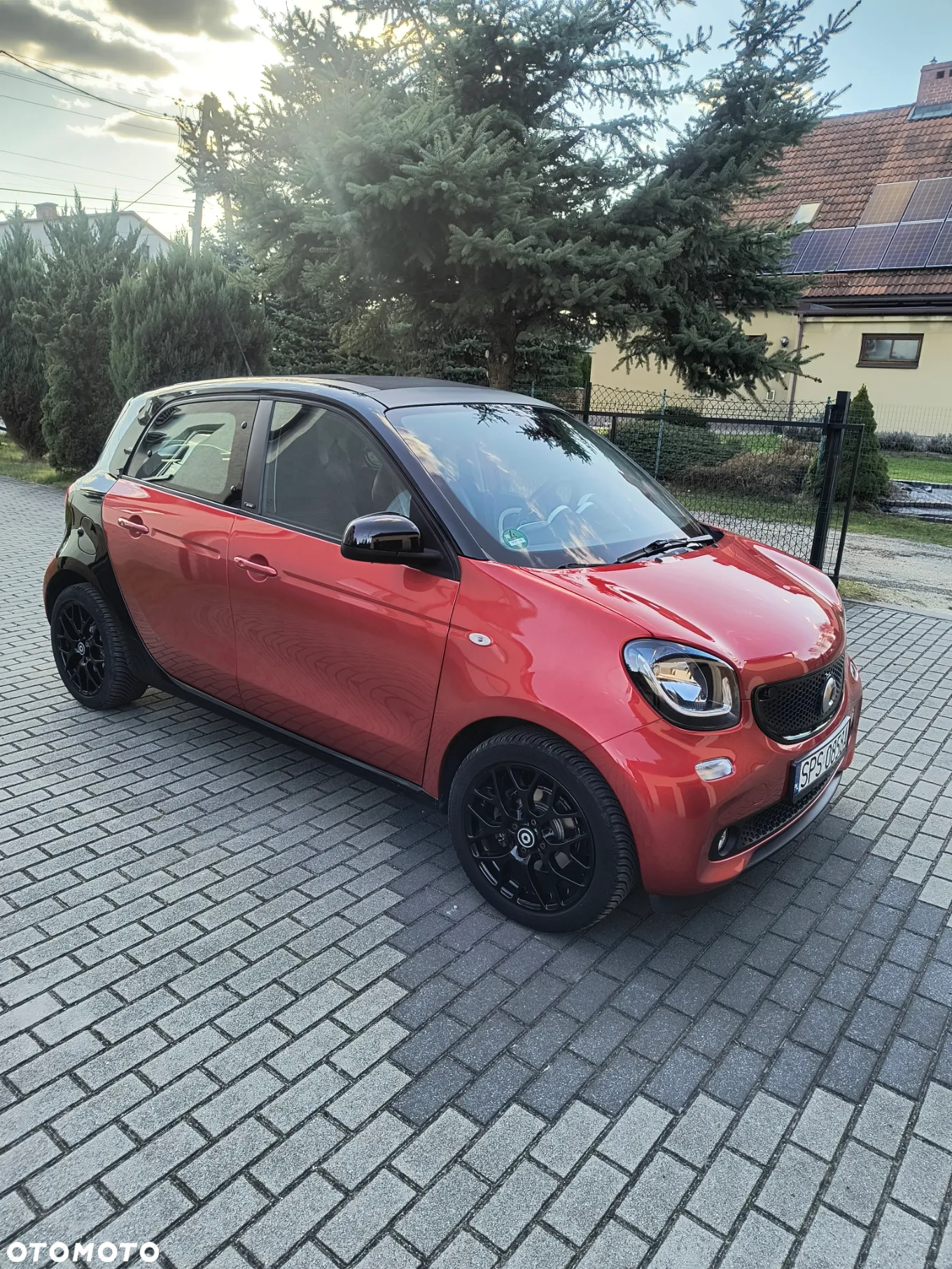 Smart Forfour passion - 16
