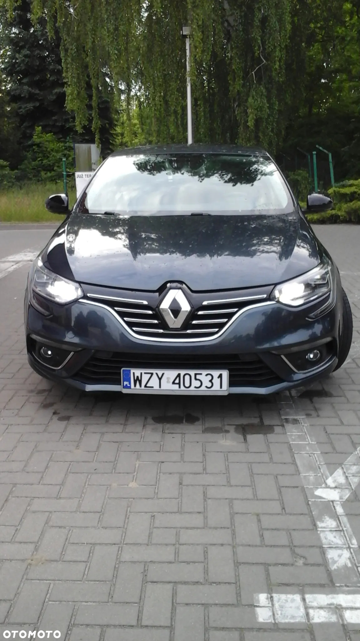 Renault Megane 1.6 dCi Energy Limited - 21