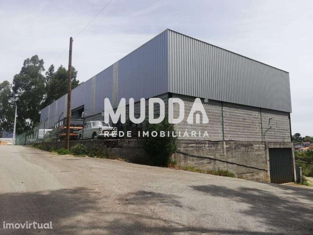 Pavilhão, Sever do Vouga - Grande imagem: 3/5