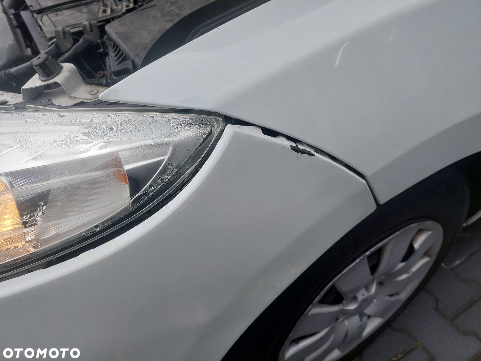 KOMPLETNY PRZÓD LAMPA BŁOTNIK MASKA ZDERZAK RENAULT MEGANE III OV369 - 12