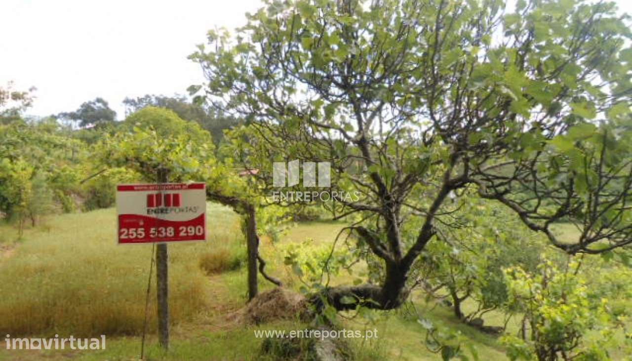 Venda Terreno, Penha Longa, Marco de Canaveses - Grande imagem: 2/21