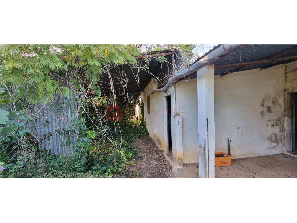 Terreno Urbano com Ruína em Tavira - Potencial de Construção - Grande imagem: 4/5