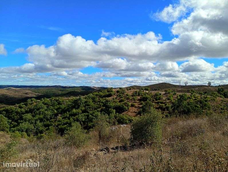 Terreno Ourique 115.000 metros quadrados próximo de barragem - Grande imagem: 2/6
