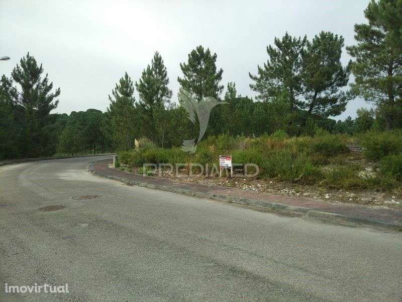 Terreno urbano a 5 minutos de Ourem - Grande imagem: 5/7