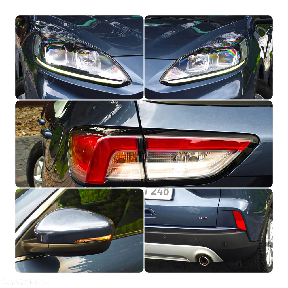 Ford Kuga 2.0 EcoBlue 4x4 VIGNALE - 14