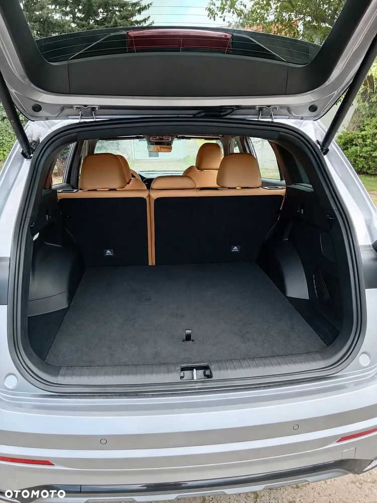 Geely Monjaro - 5