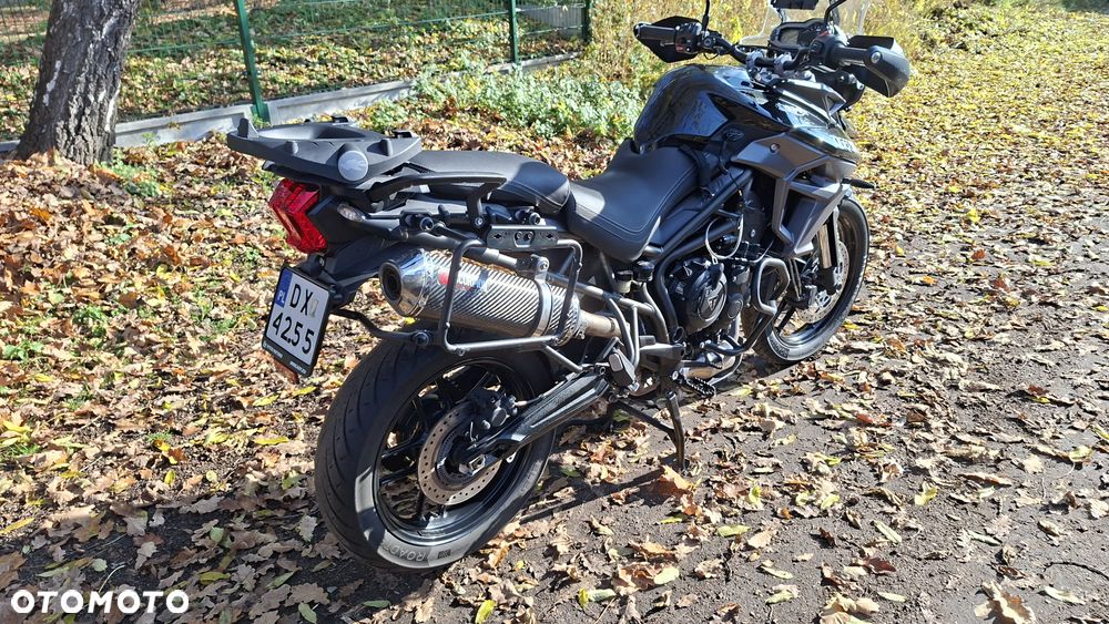 Triumph Tiger - 6