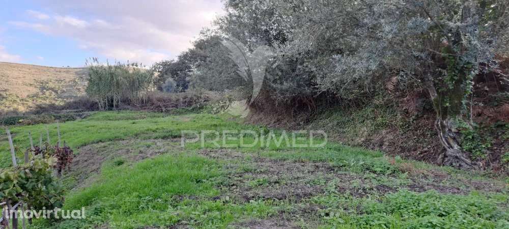 Terreno Lousa - Grande imagem: 5/7