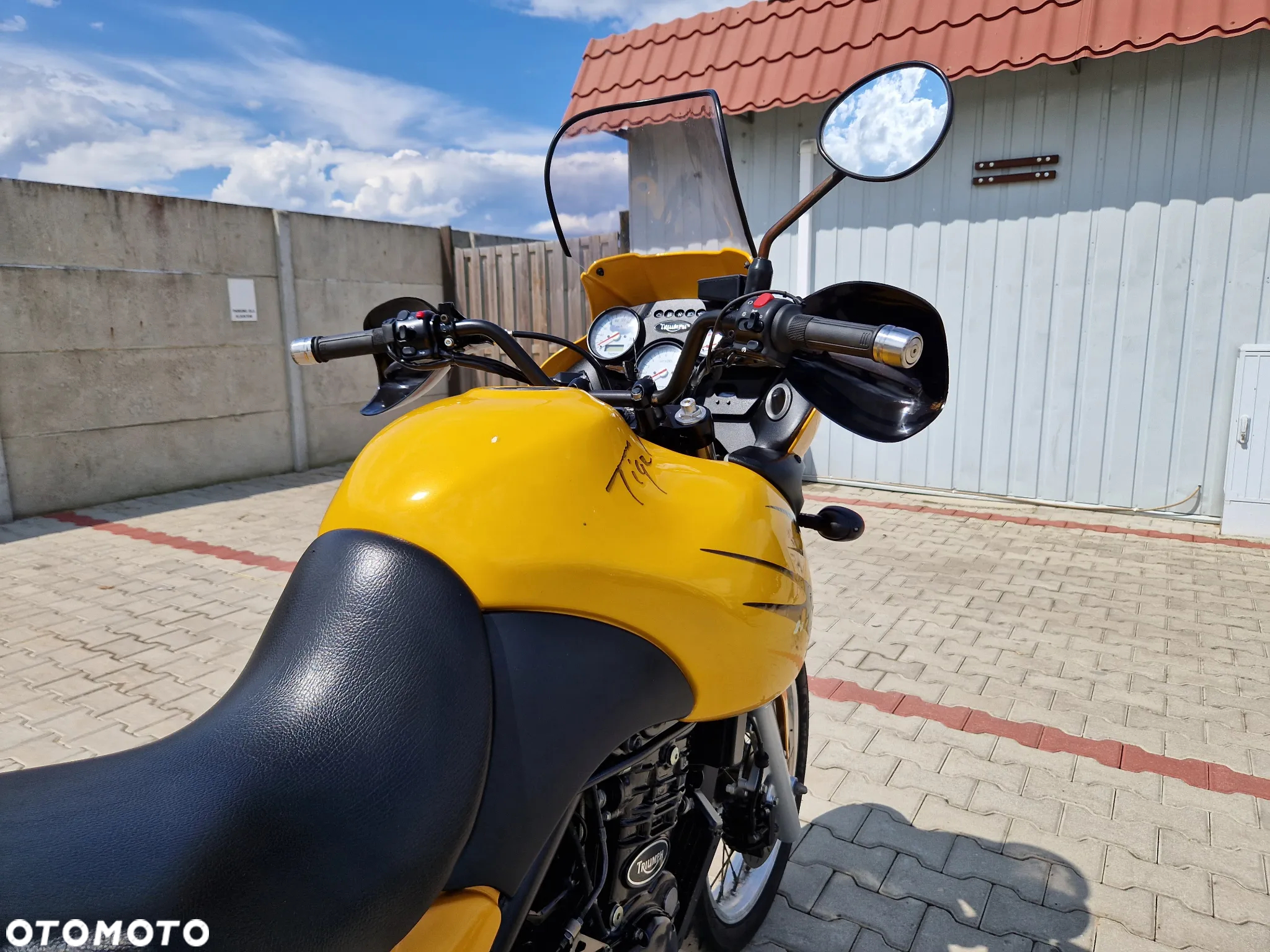 Triumph Tiger - 32