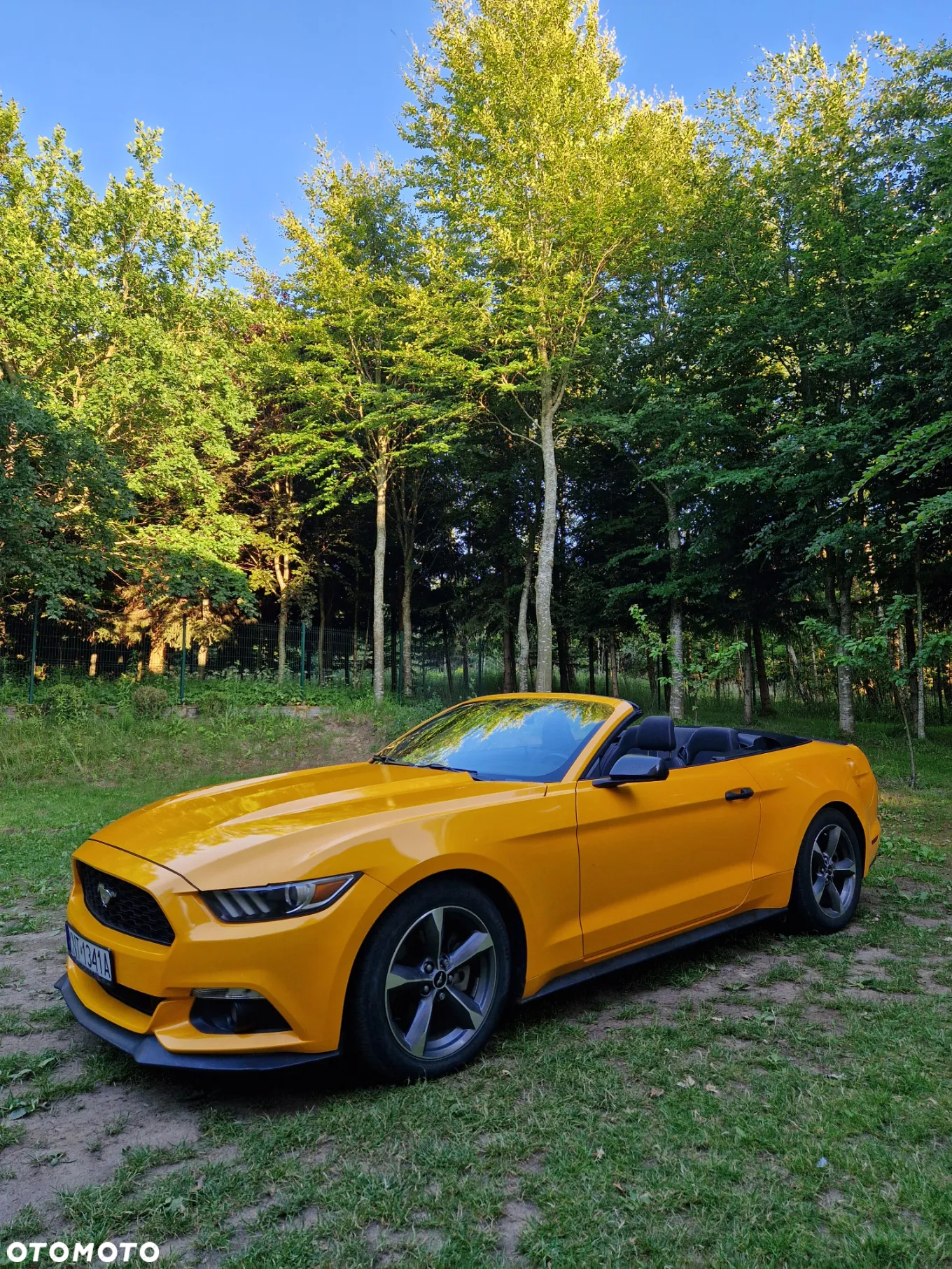 Ford Mustang 3.7 V6 - 5