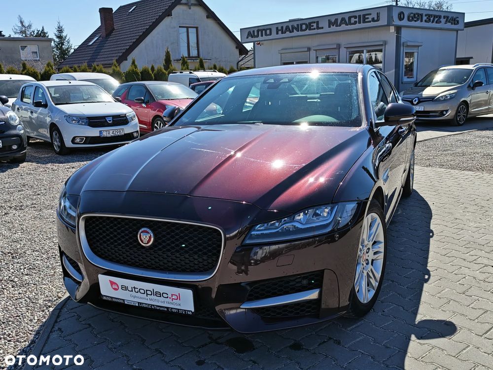 Jaguar XF E-Performance Pure - 1