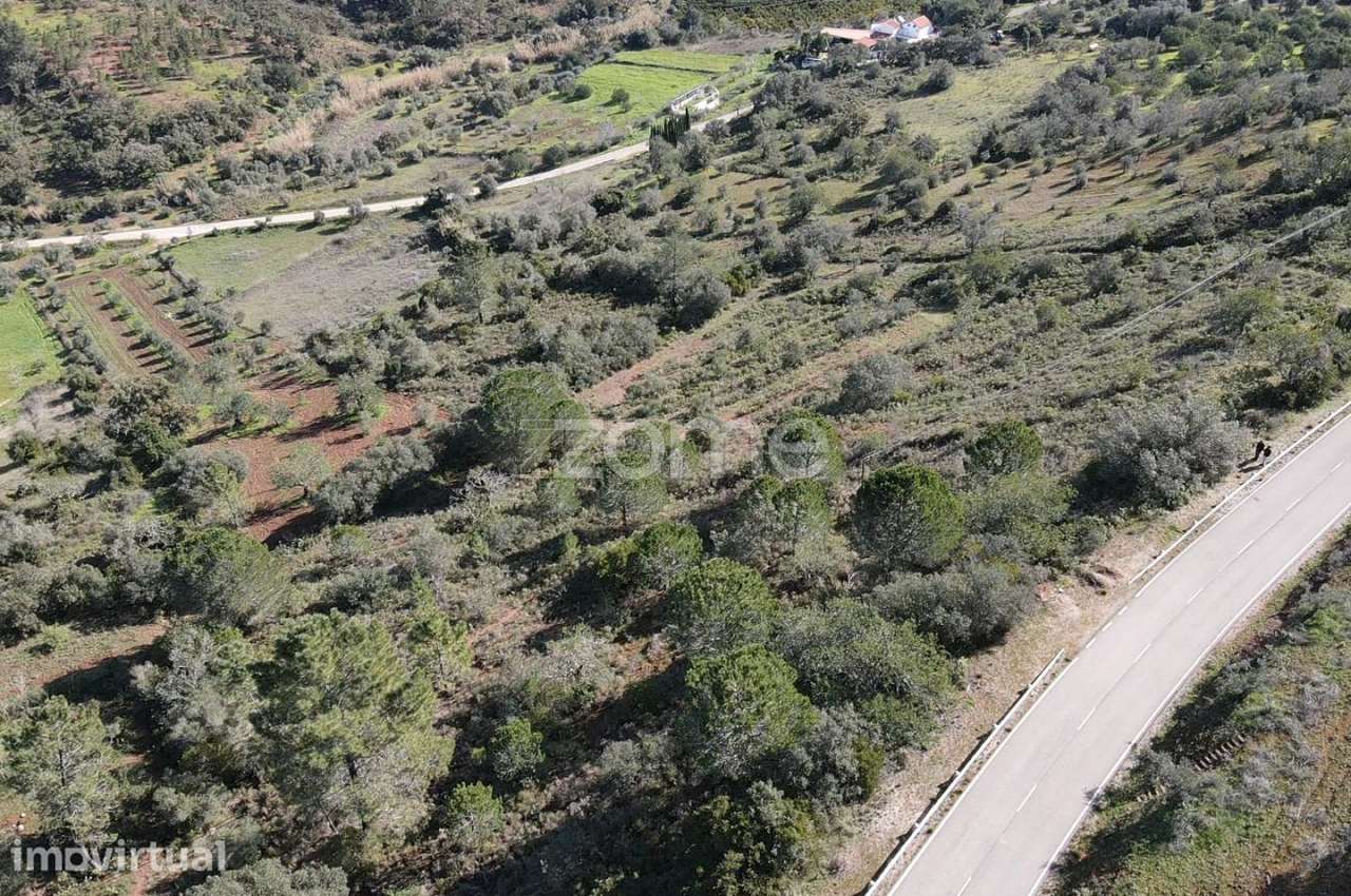 Terreno Rústico com 7.200m2 em Santa Margarida, Alte - Grande imagem: 4/17