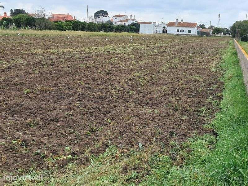 Terreno totalmente Rustico - Grande imagem: 2/5