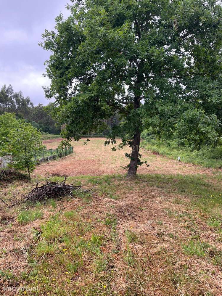 Terreno em Nogueira com Vista para a Montanha - Grande imagem: 2/12