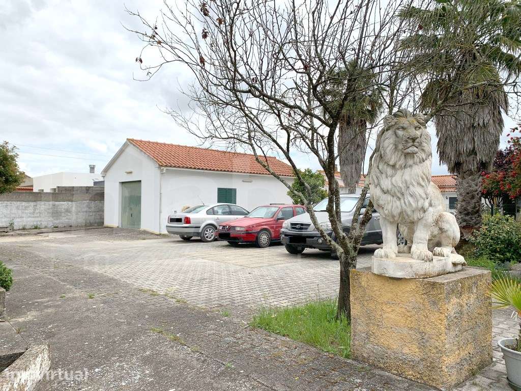 Moradia T3 com 5000m² de terreno Foros de Salvaterra - Grande imagem: 5/21