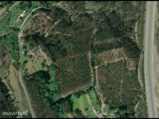Terreno rústico situado em plena envolvente natural - Grande imagem: 2/2