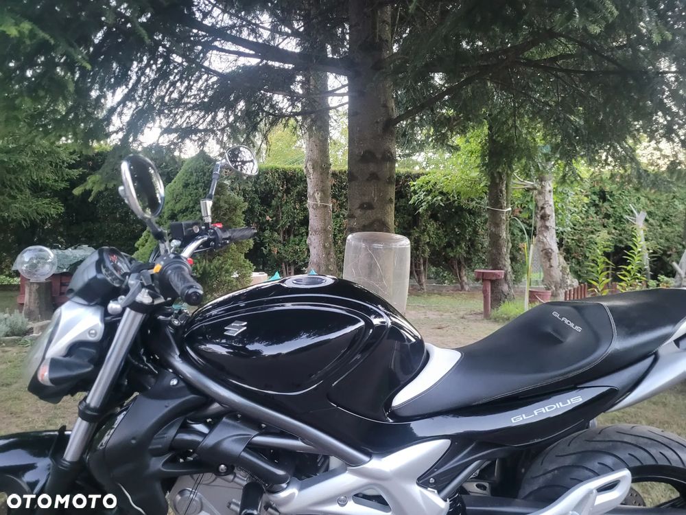 Suzuki Gladius - 24