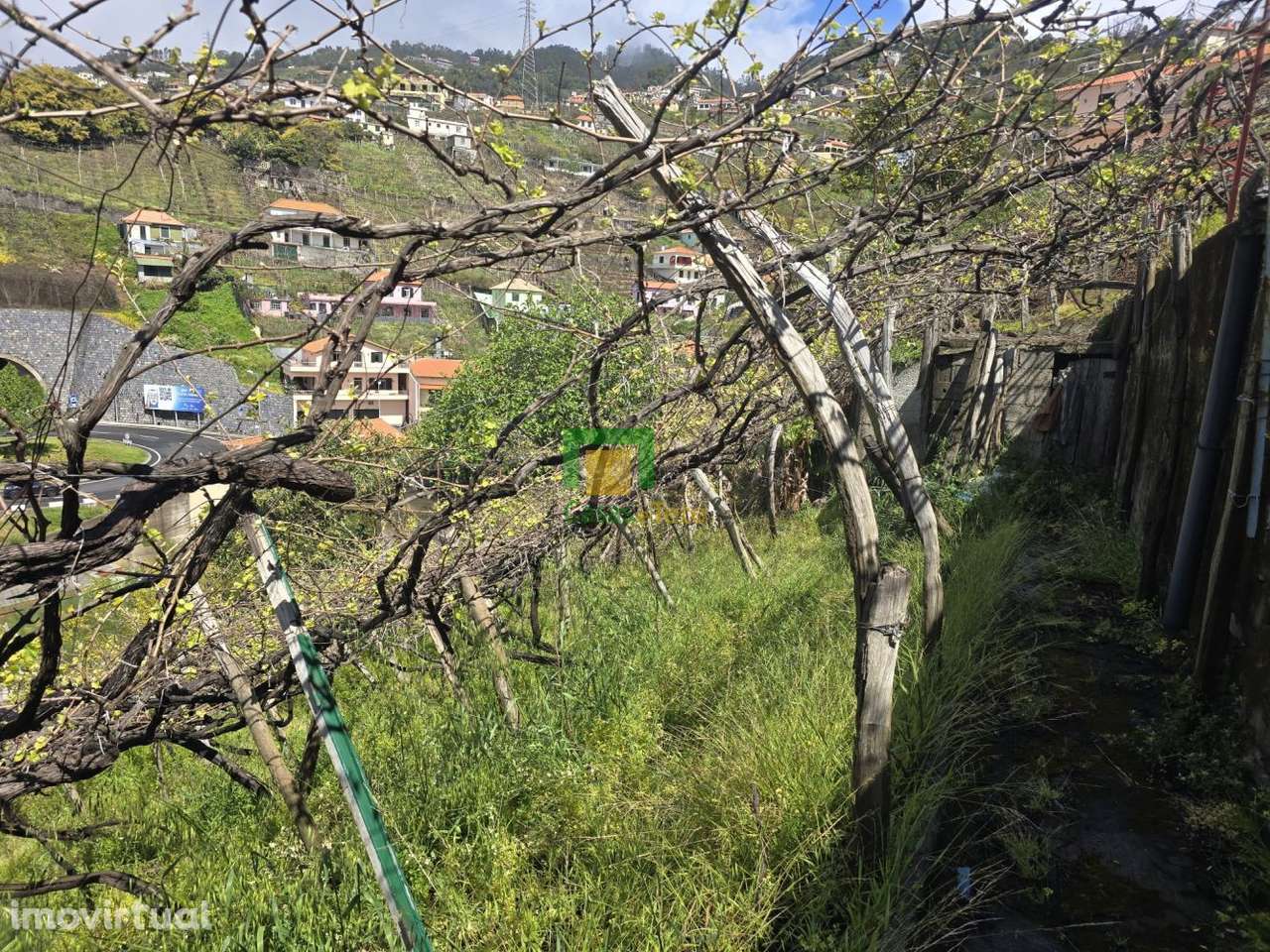 Terreno para Cultivo - Grande imagem: 4/7