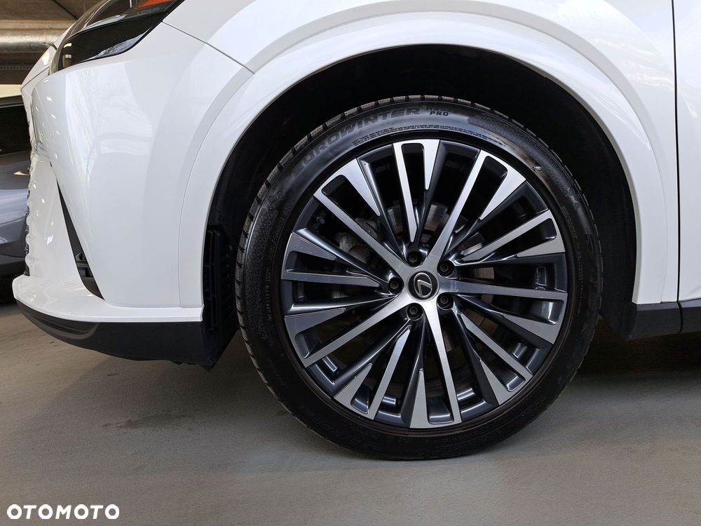 Lexus RX - 32