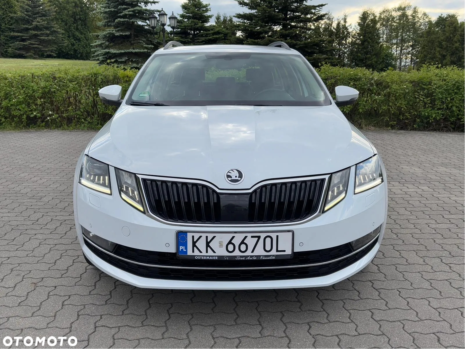 Skoda Octavia 2.0 TDI 4x4 L&K DSG - 5