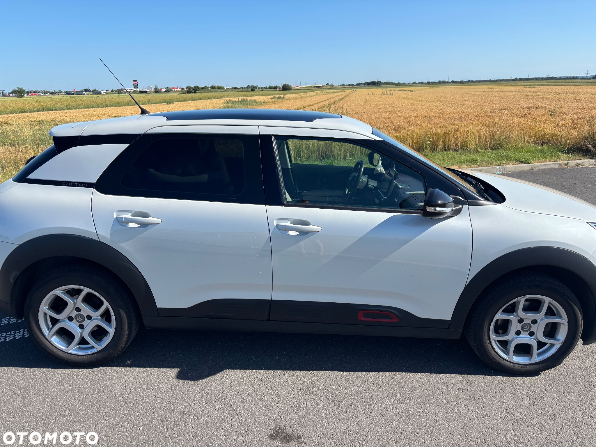 Citroën C4 Cactus - 4