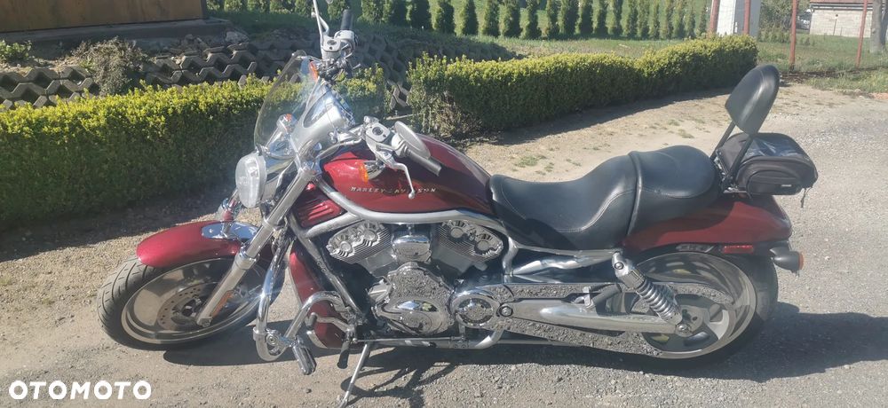 Harley-Davidson V-Rod Night Rod - 2