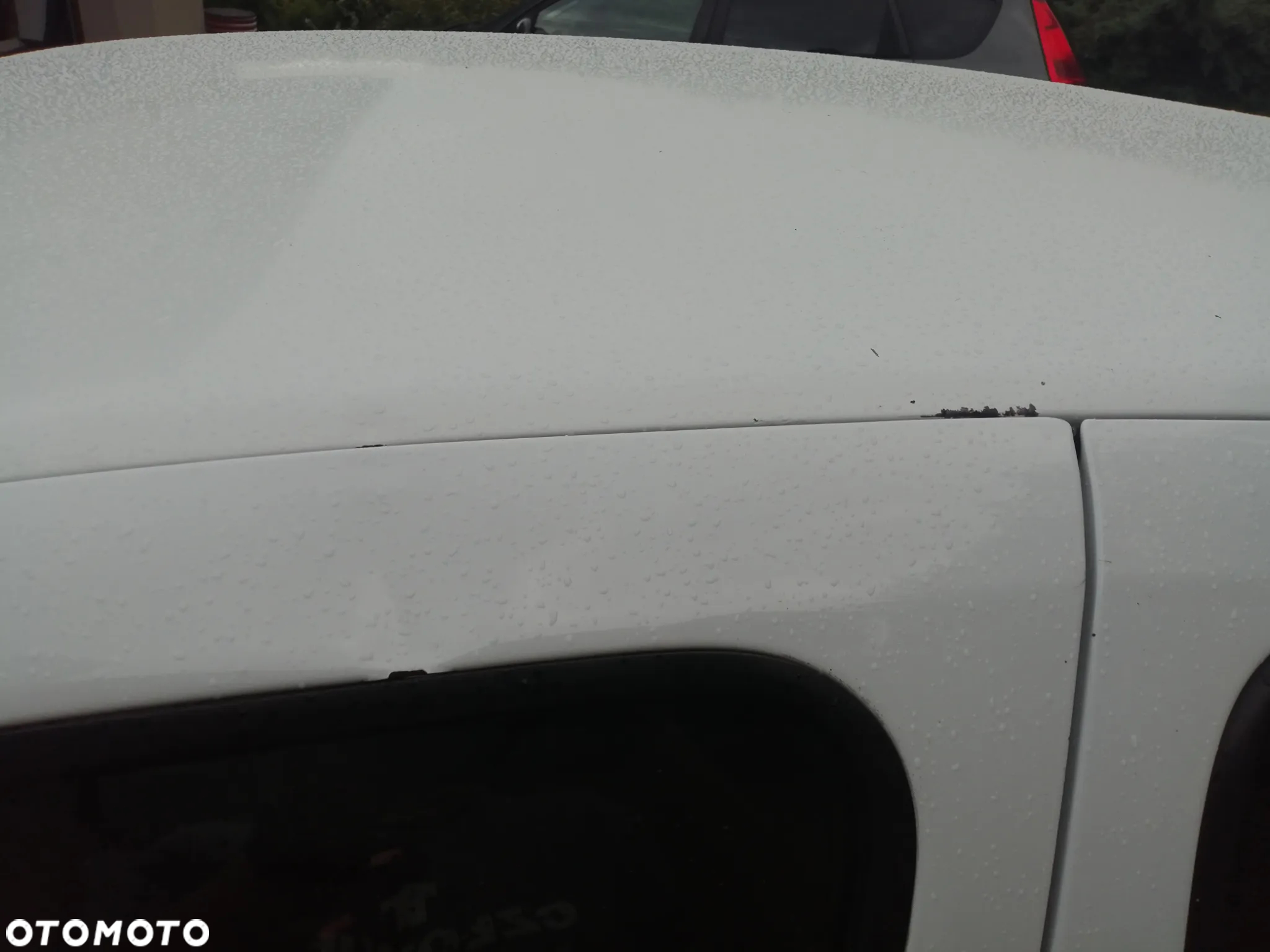 Renault Clio - 19