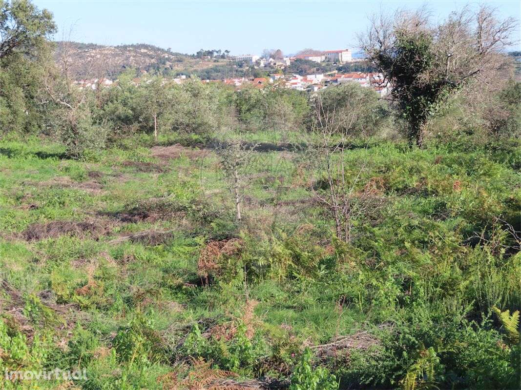 Quinta  para venda - Grande imagem: 5/16