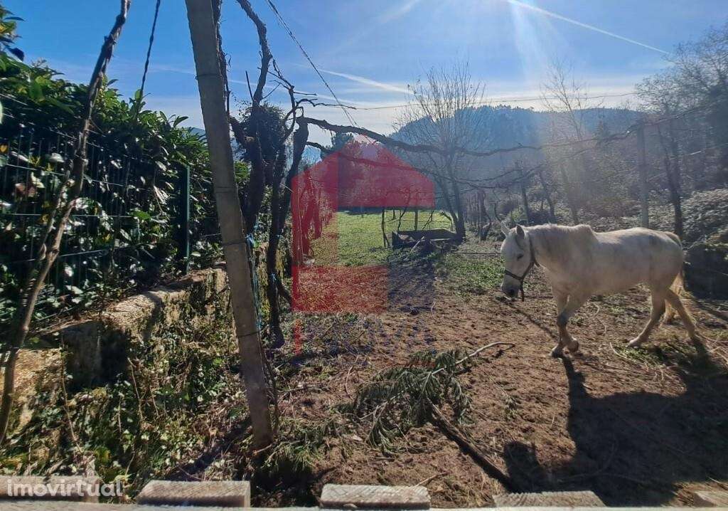 Terreno agrícola, Valões - Grande imagem: 3/11