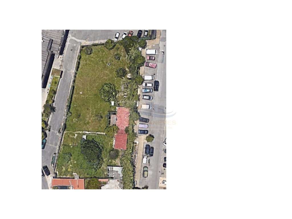 Terreno com 2.000,00m2 para venda junto ao Polo Universitário da Ajuda - Grande imagem: 3/3