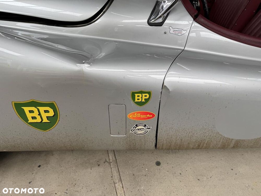 Jaguar Inny - 12