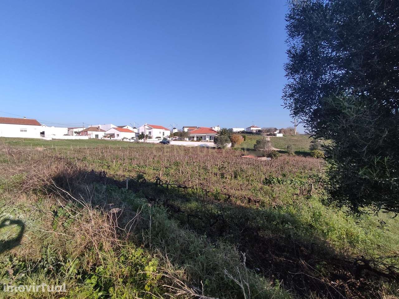 Terreno para construção - Ventosa, Torres Vedras - Grande imagem: 5/9