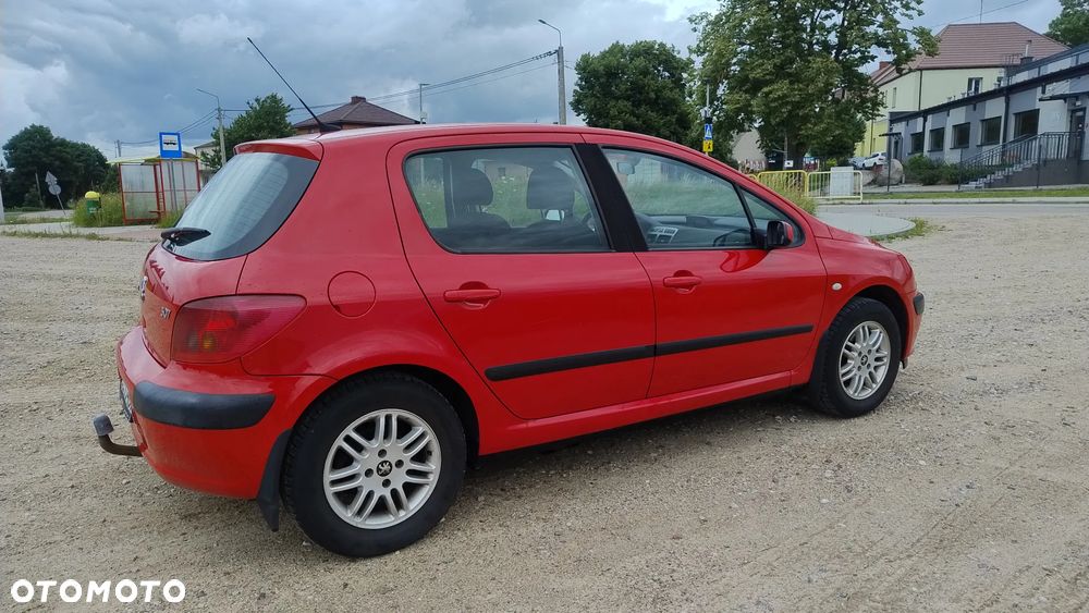 Peugeot 307 1.4 XR - 8