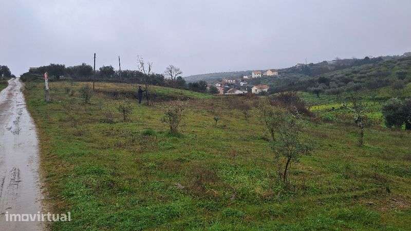 Terreno com projecto aprovado com 2200m² em trás os montes - Grande imagem: 2/3