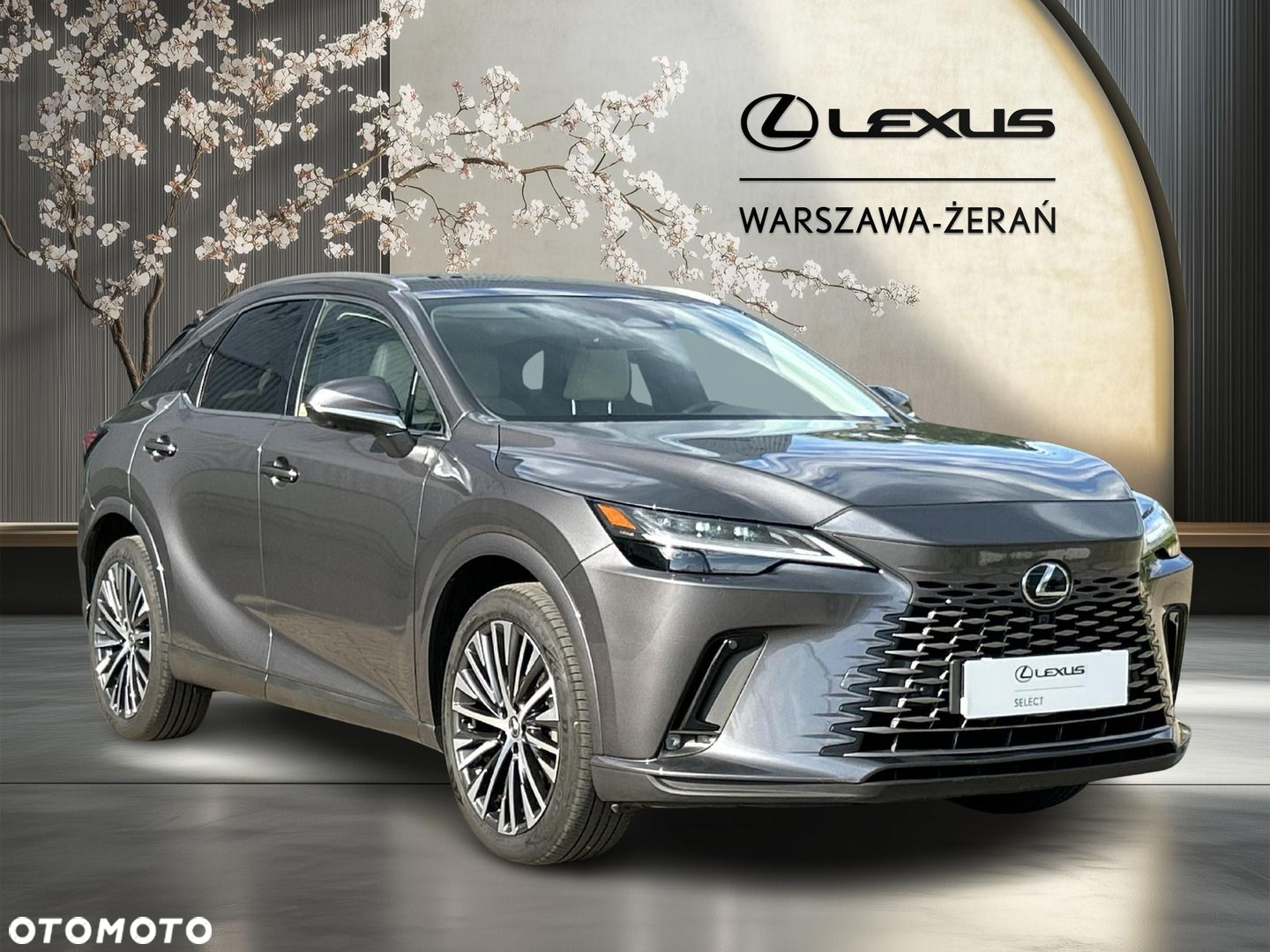 Lexus RX - 9