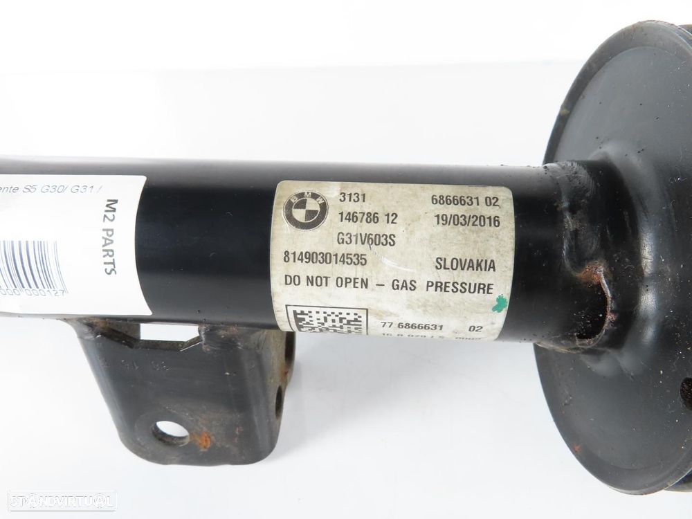 Amortecedor M Esquerdo/Frente Usado / Original BMW 5 Touring (G31) 31316866631 - 2