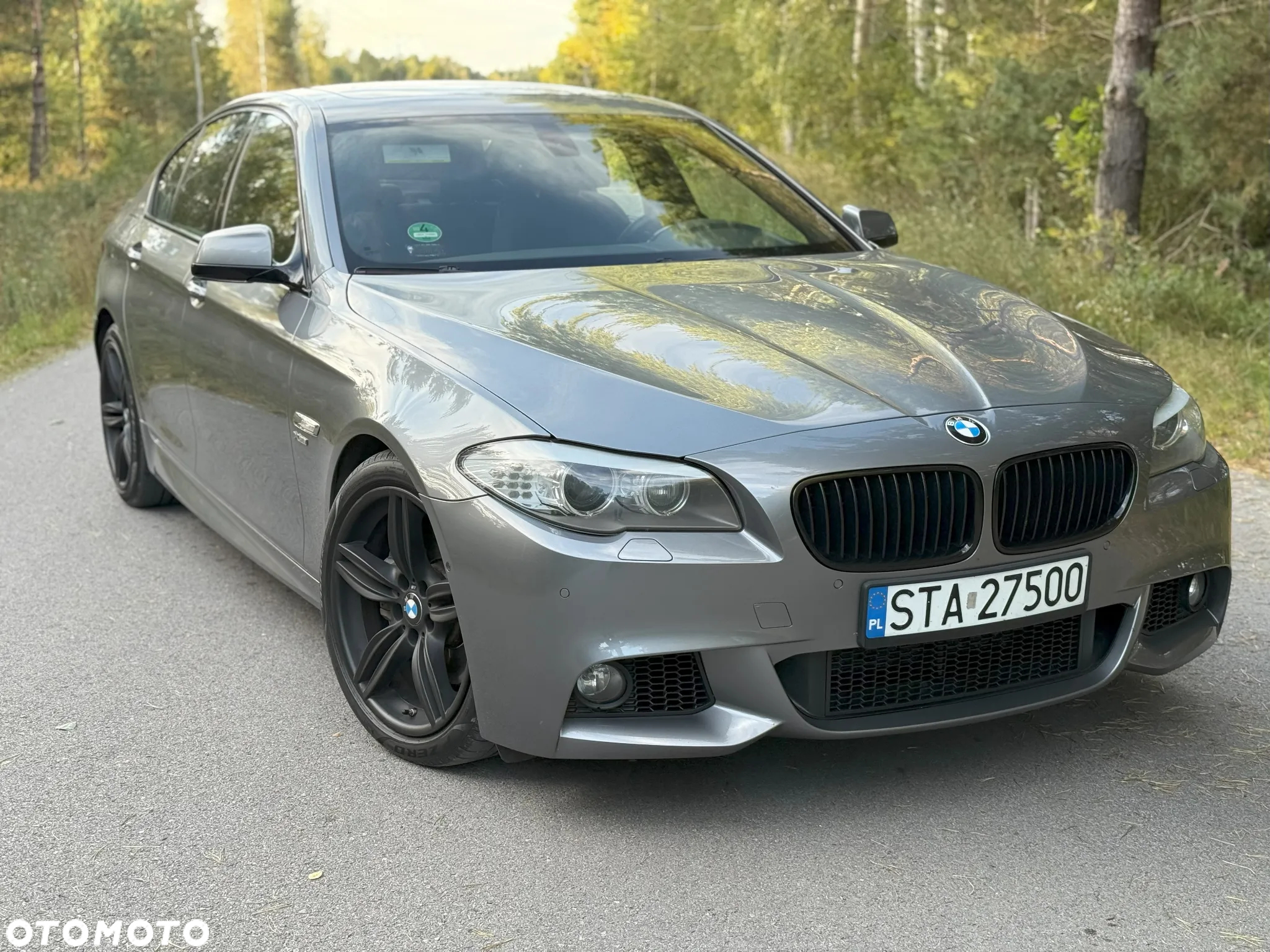 BMW Seria 5 550i - 5