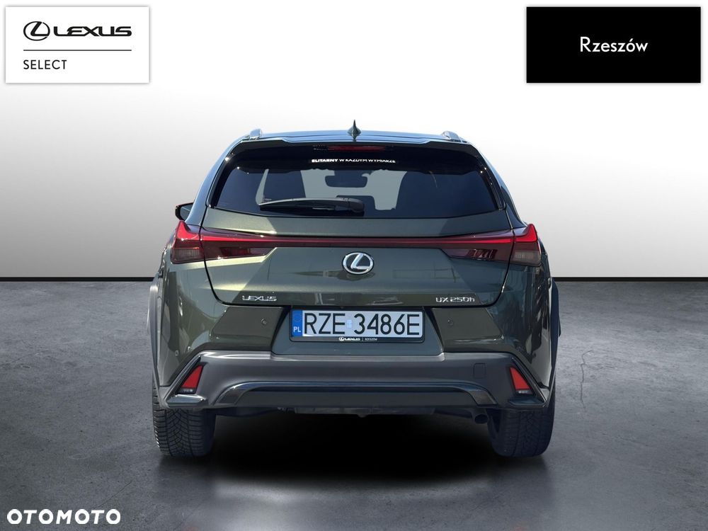 Lexus UX 250h GPF F Sport Design 2WD - 4