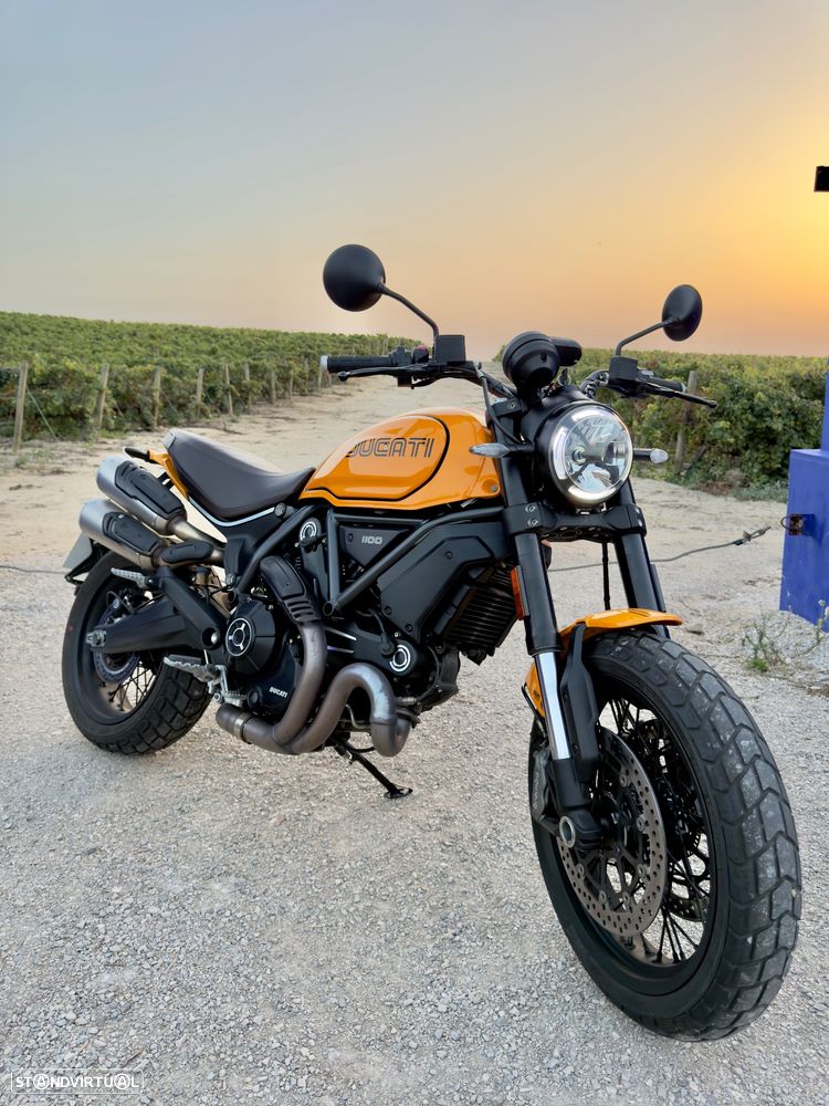 Ducati Scrambler 1100 Tribute Pro - 6