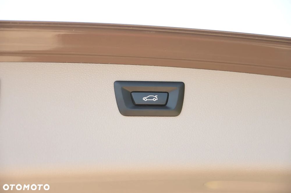 BMW Seria 3 318d Blue Performance Luxury Line - 19