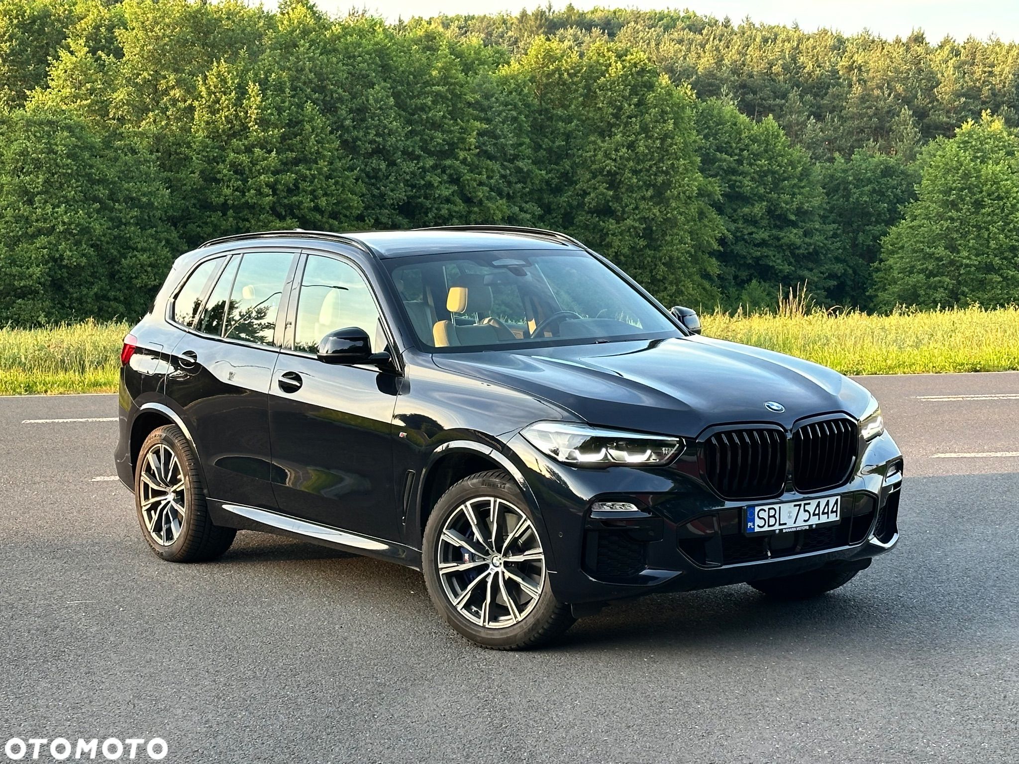 BMW X5 xDrive25d sport - 1