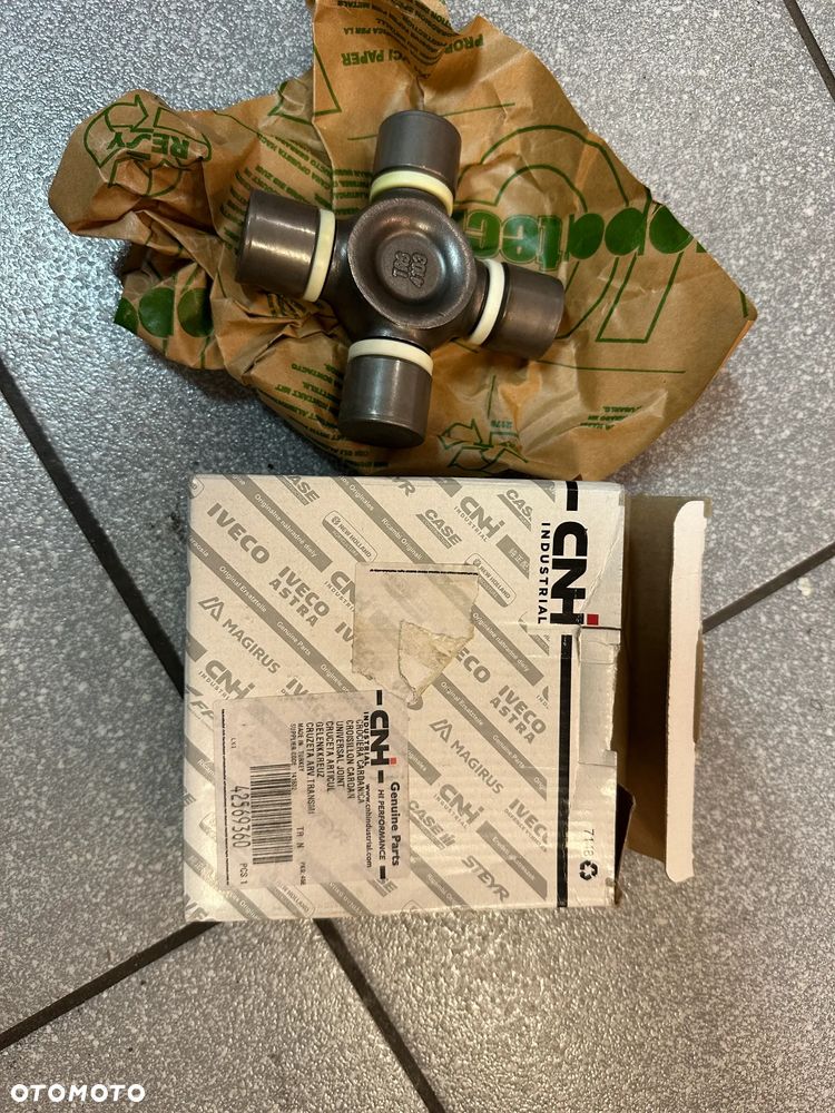 KRZYŻAK; numer katalogowy 42569360