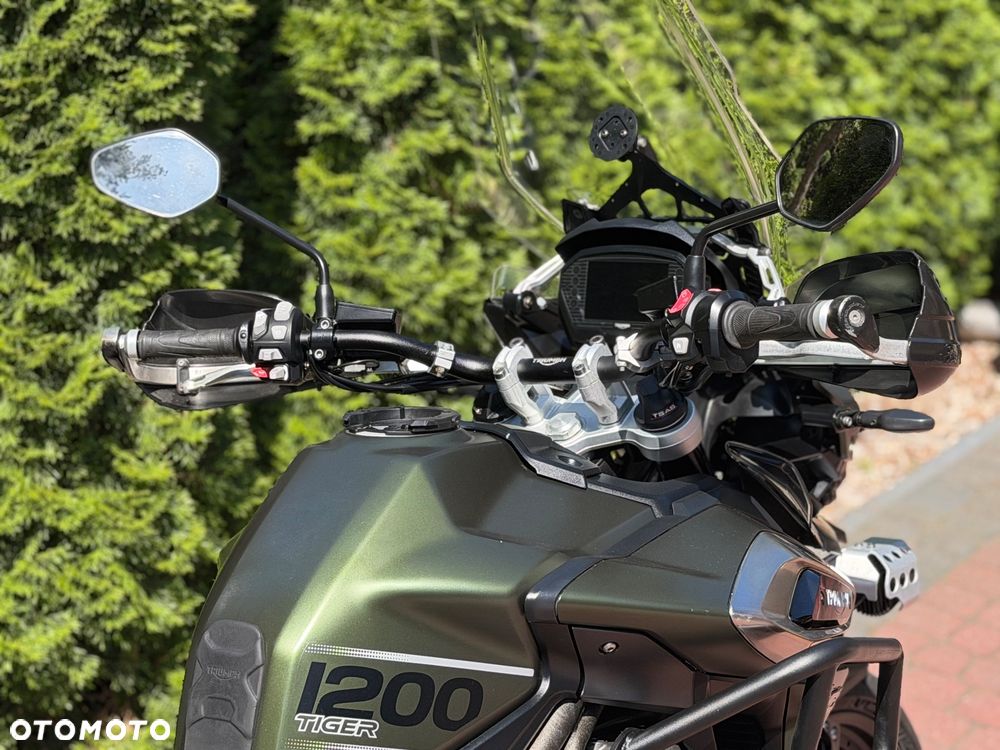 Triumph Tiger - 14