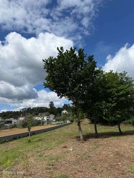 Terreno com aproximadamente 7000m² -  VISEU|SATÃO - Grande imagem: 5/12