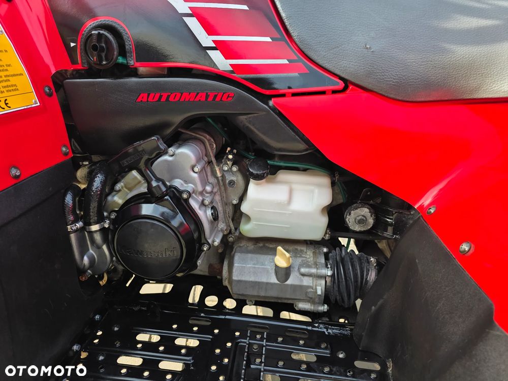 Kawasaki Brute Force - 7